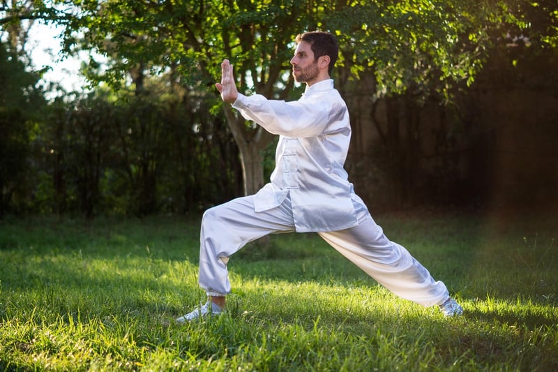 Tai Chi Workshops