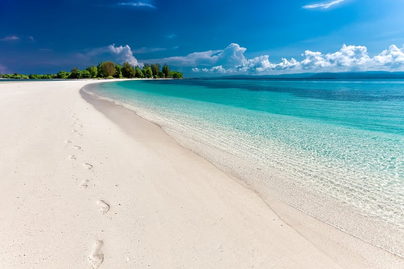 Contemplative Stroll on the Beach