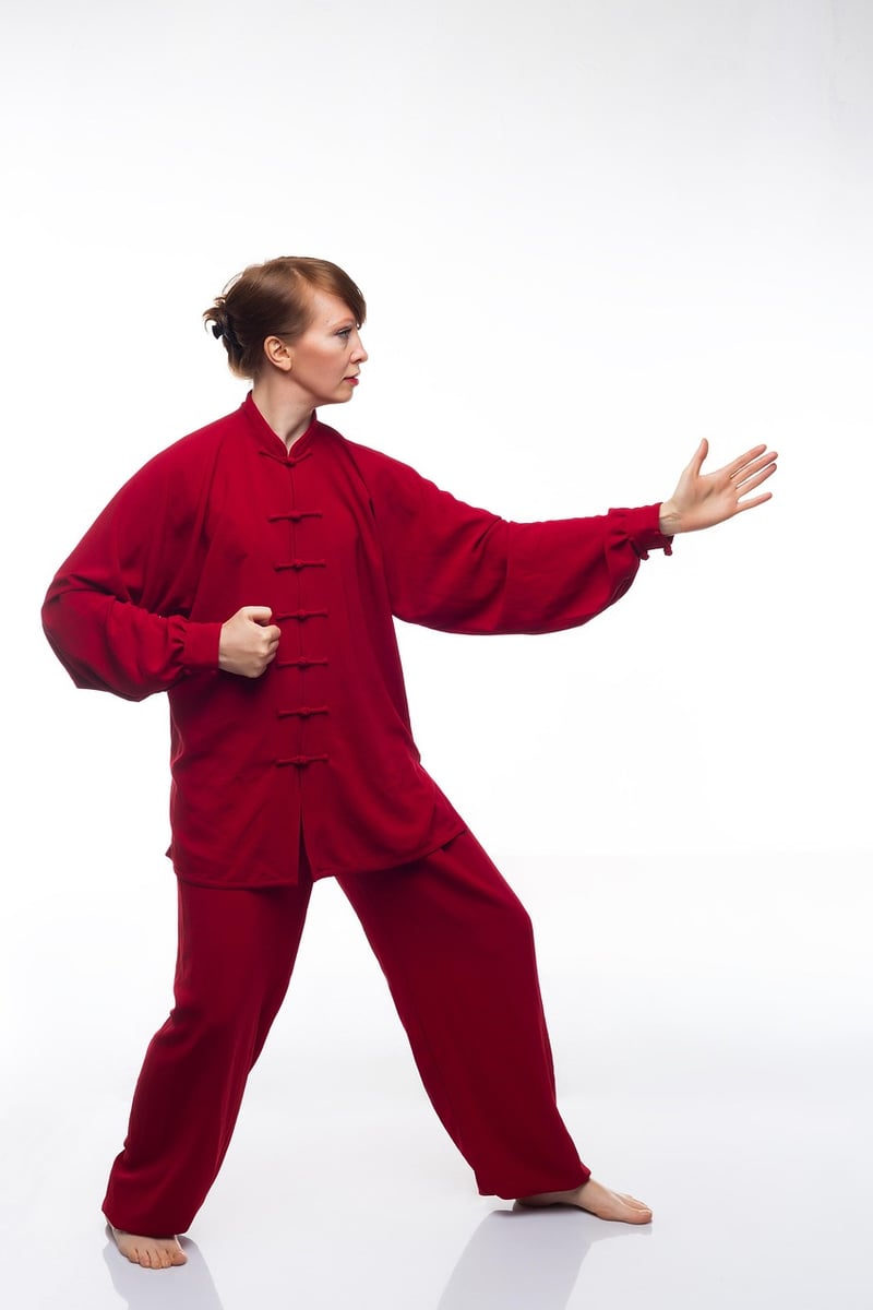 Tai Chi Workshop